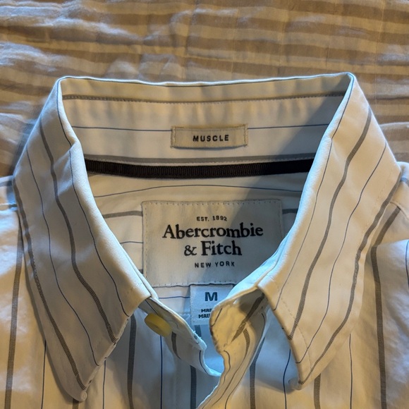 Abercrombie & Fitch White and Gray Muscle Fit Striped Button-Down Shirt - Picture 4 of 6